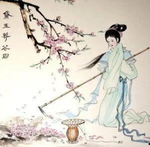 黛玉葬花搞笑视频,花落谁家笑料多