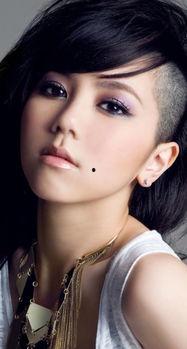 瑾哪个明星,璀璨星河中的闪耀星辰  第3张