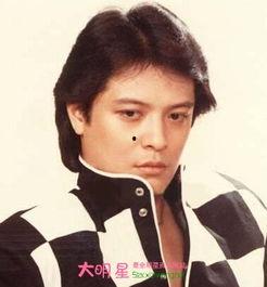 刘文正个人资料,华语乐坛璀璨星辰，传奇歌手的辉煌人生