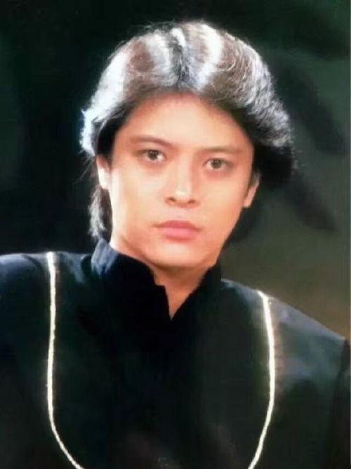 刘文正个人资料,华语乐坛璀璨星辰，传奇歌手的辉煌人生  第2张