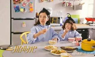 二胎时代资料,家庭新篇章与社会变迁的交汇点