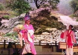 梁祝图片,梁祝化蝶的浪漫传说  第3张