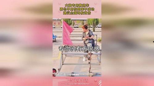 大妈专用背景,乐享晚年，温馨时光