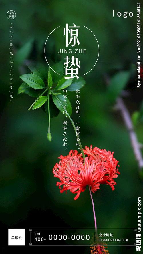 惊蛰图片,万物复苏——探寻春日生机盎然的奥秘  第1张