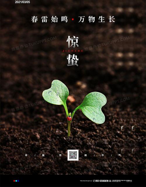 惊蛰图片,万物复苏——探寻春日生机盎然的奥秘  第2张