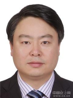 成都卢勇个人资料,科技创业先锋，引领创新浪潮